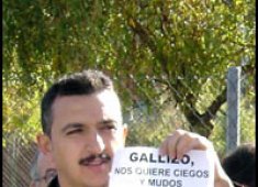 Topas 8