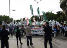 Congreso de los Diputados 7