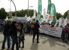 Congreso de los Diputados 10