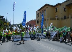 Málaga 12