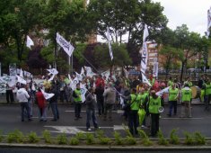 Palencia 4