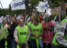 Palencia 5