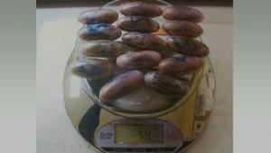 Un vis a vis y catorce bellotas