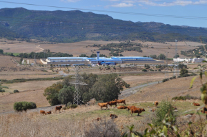 Siete funcionarios heridos tras agresiones de un recluso en Botafuegos
