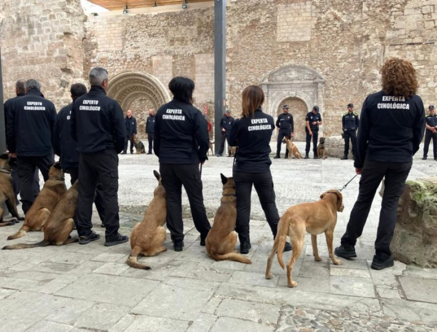 Instrucción 7/2024: Unidades caninas en II.PP